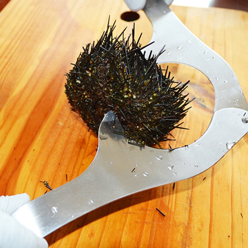 Stainless Steel Sea Urchin Shell Cutting