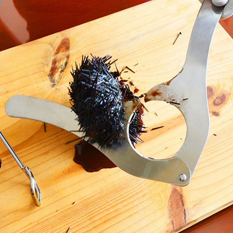 Stainless Steel Sea Urchin Shell Cutting