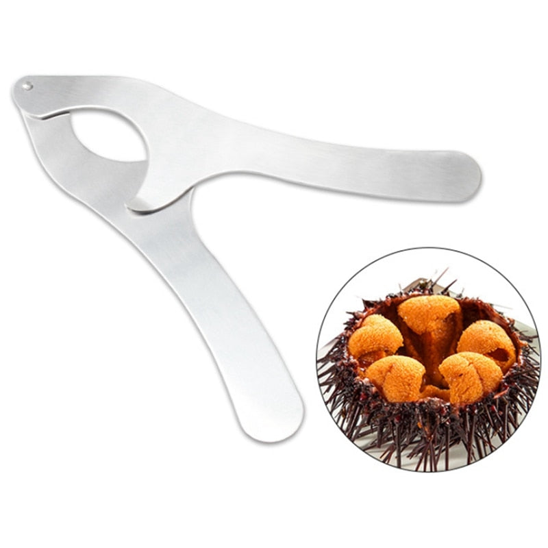 Stainless Steel Sea Urchin Shell Cutting